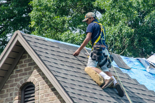 Professional Roofing Contractor in Pickens, SC